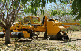 bonsai robotics equipment in an orchard.